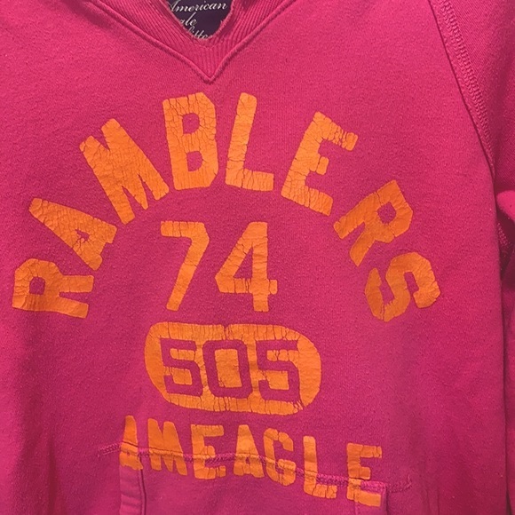 AMERICAN EAGLE Y2K Ramblers Hoodie - Picture 2 of 4